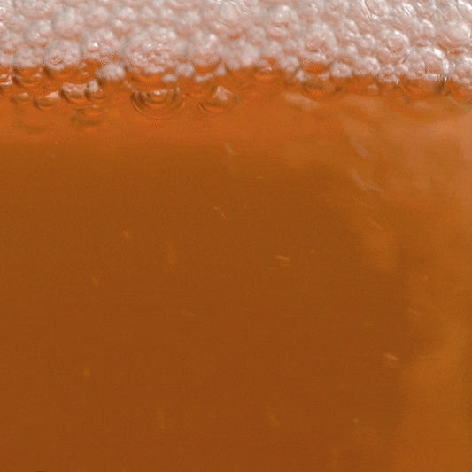 Isntree Green Tea Fresh Toner 200ml at Embé Skin Korean and Japanese Beauty Skincare