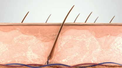 APRILSKIN Carrotene IPMP Clearing Solution 20ml at Embé Skin Korean and Japanese Beauty Skincare