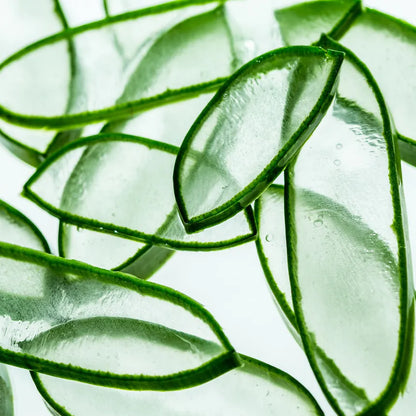 Aromatica Organic Aloe Vera Gel 300ml at Embé Skin Korean and Japanese Beauty Skincare