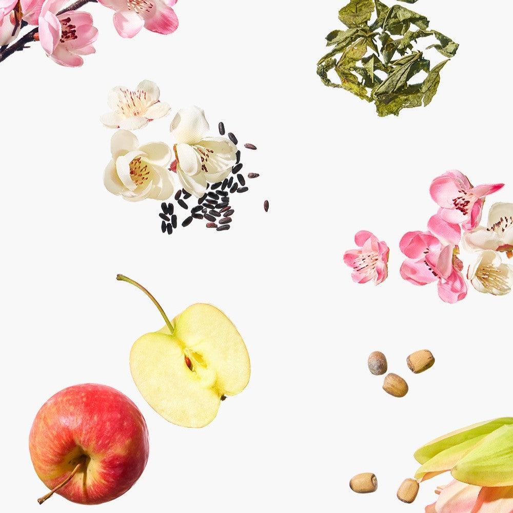 Beauty of Joseon Apricot Blossom Peeling Gel 100ml at Embé Skin Korean and Japanese Beauty Skincare