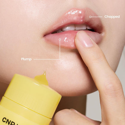 CNP Laboratory Propolis Lipcerin 15ml at Embé Skin Korean and Japanese Beauty Skincare