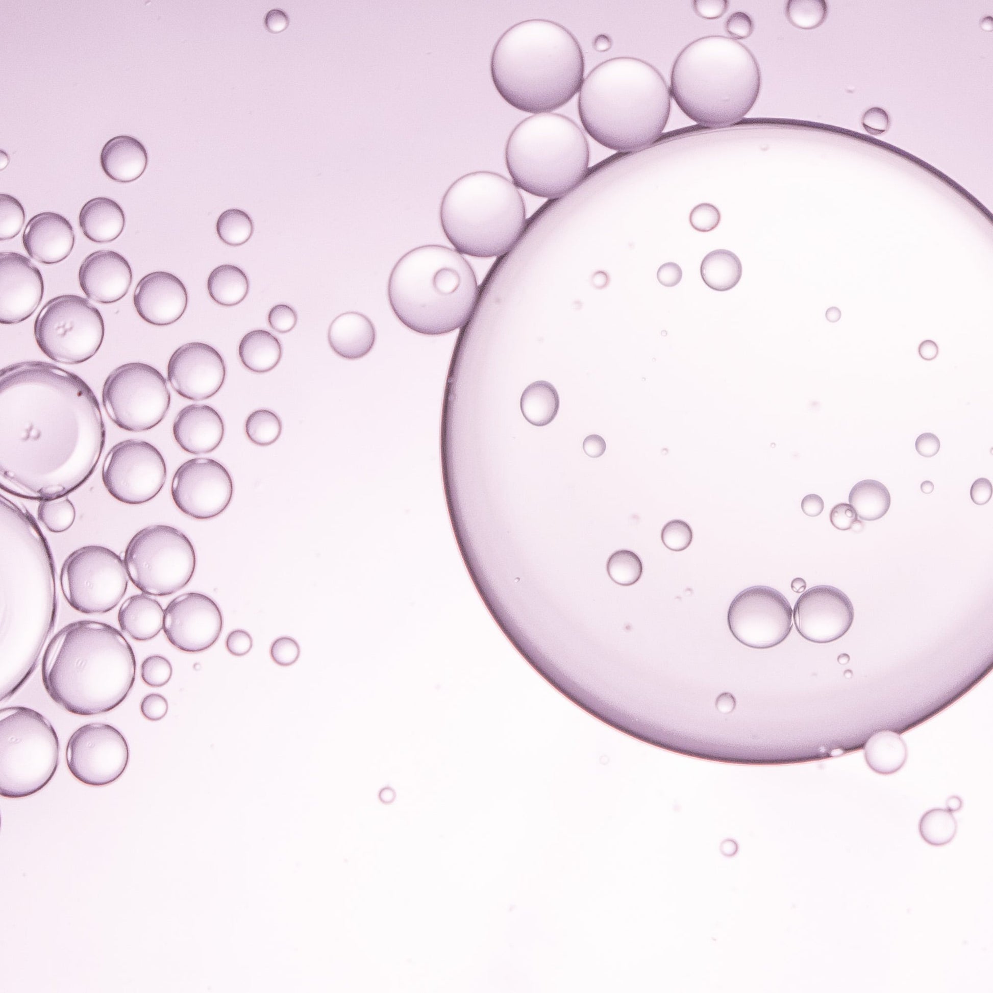 EQQUALBERRY Purple PDRN Pore Minimizing Serum 30ml at Embé Skin Korean and Japanese Beauty Skincare