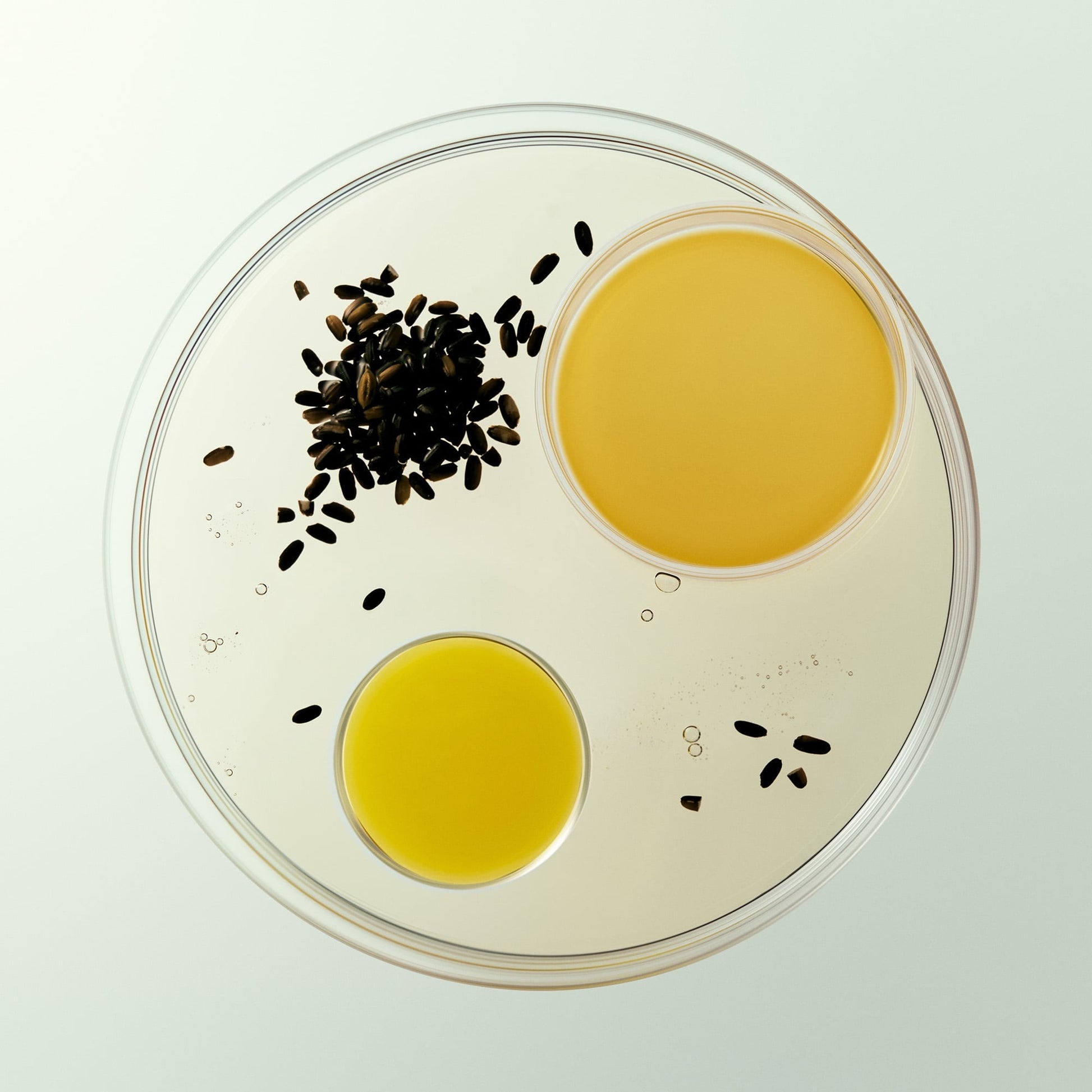 EQQUALBERRY Purple Rice Pore Smoothing Cleansing Oil 200ml at Embé Skin Korean and Japanese Beauty Skincare