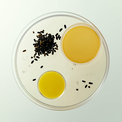 EQQUALBERRY Purple Rice Pore Smoothing Cleansing Oil 200ml at Embé Skin Korean and Japanese Beauty Skincare