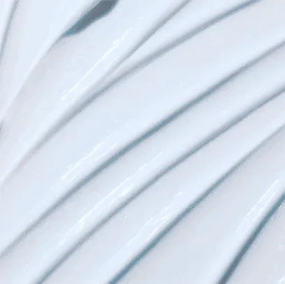 Ongredients Slow Aging Cream 50ml at Embé Skin Korean and Japanese Beauty Skincare