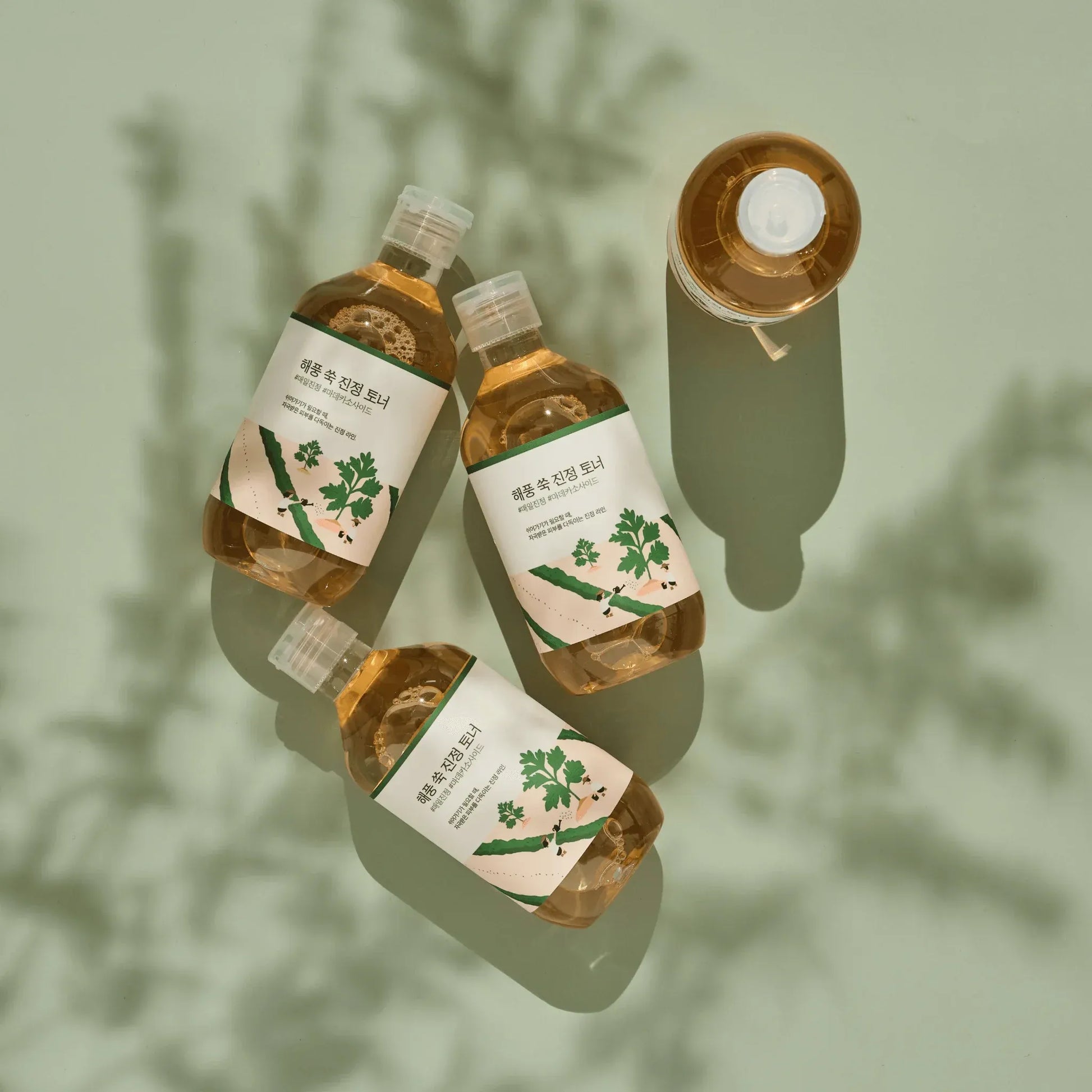 ROUND LAB Mugwort Calming Toner 300ml at Embé Skin Korean and Japanese Beauty Skincare